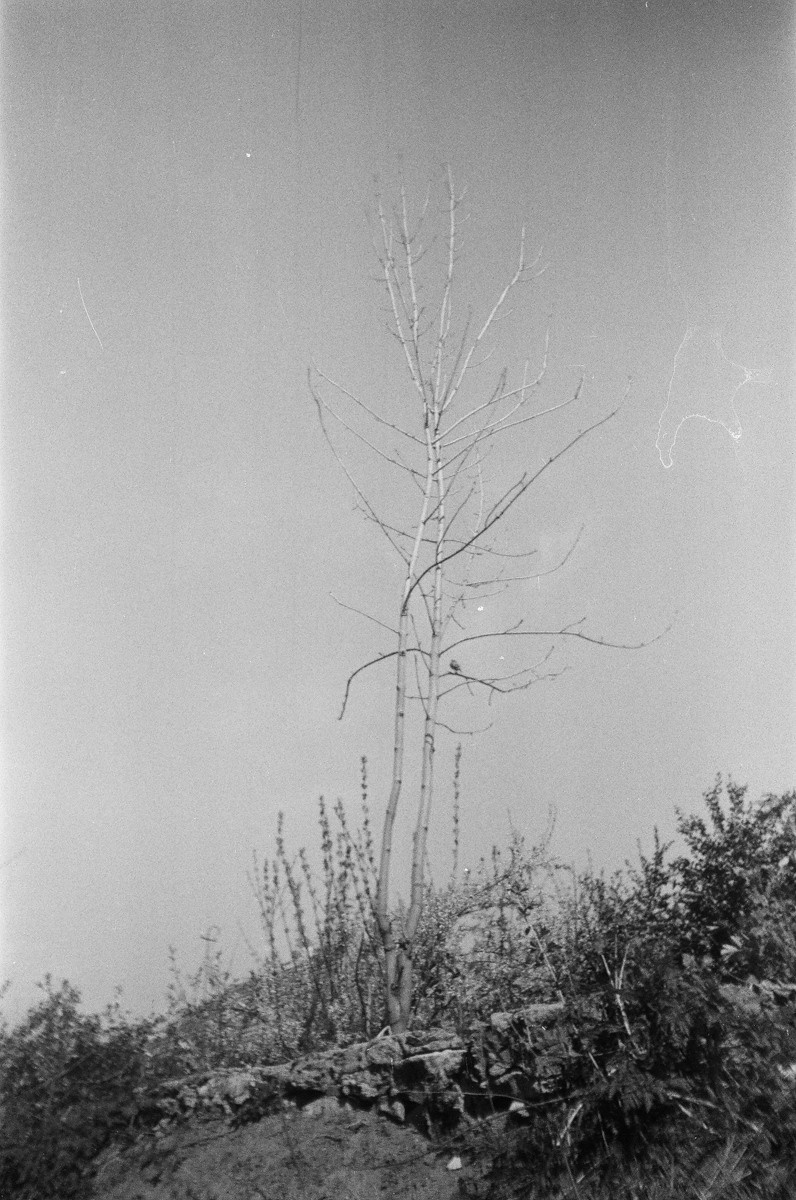 Личная комната. Екатерина Подлеснов