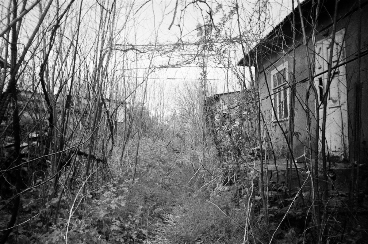 Личная комната. Екатерина Подлеснов