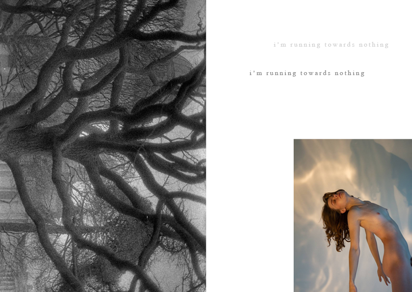 See into the trees — zine. Pictorial dream — fine art fil photography by Yaroslav Pavlov