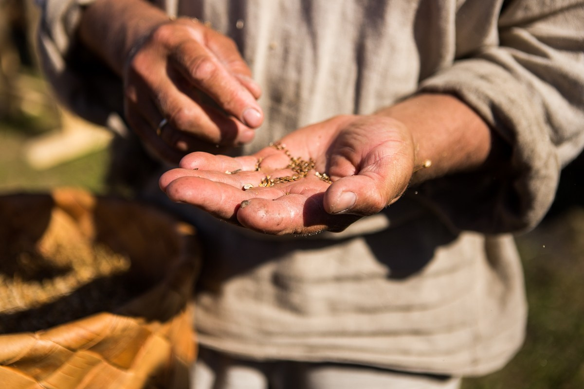 Kizhi. Фотограф Евгения Добротворская