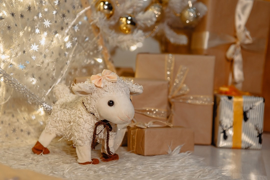 Art Prospect — Декорации. Лидия Фотограф Воронеж