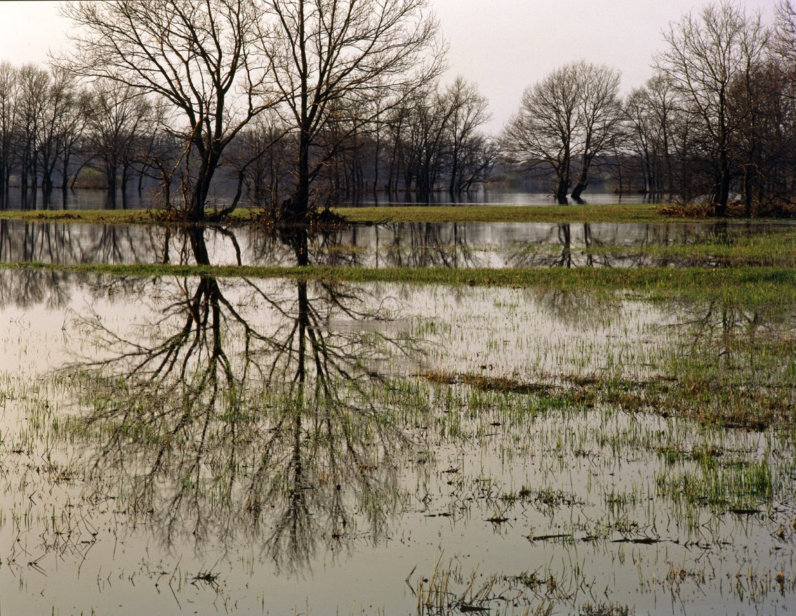 Весна. ВАДИМ ГИППЕНРЕЙТЕР — ВЕЛИКИЙ ФОТОГРАФ ЗЕМЛИ РУССКОЙ