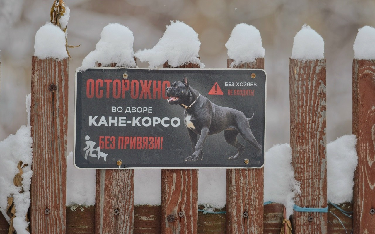 ПВД: Уиии-кат (21 км). Новосибирское велосообщество #Навигаторовнаедет