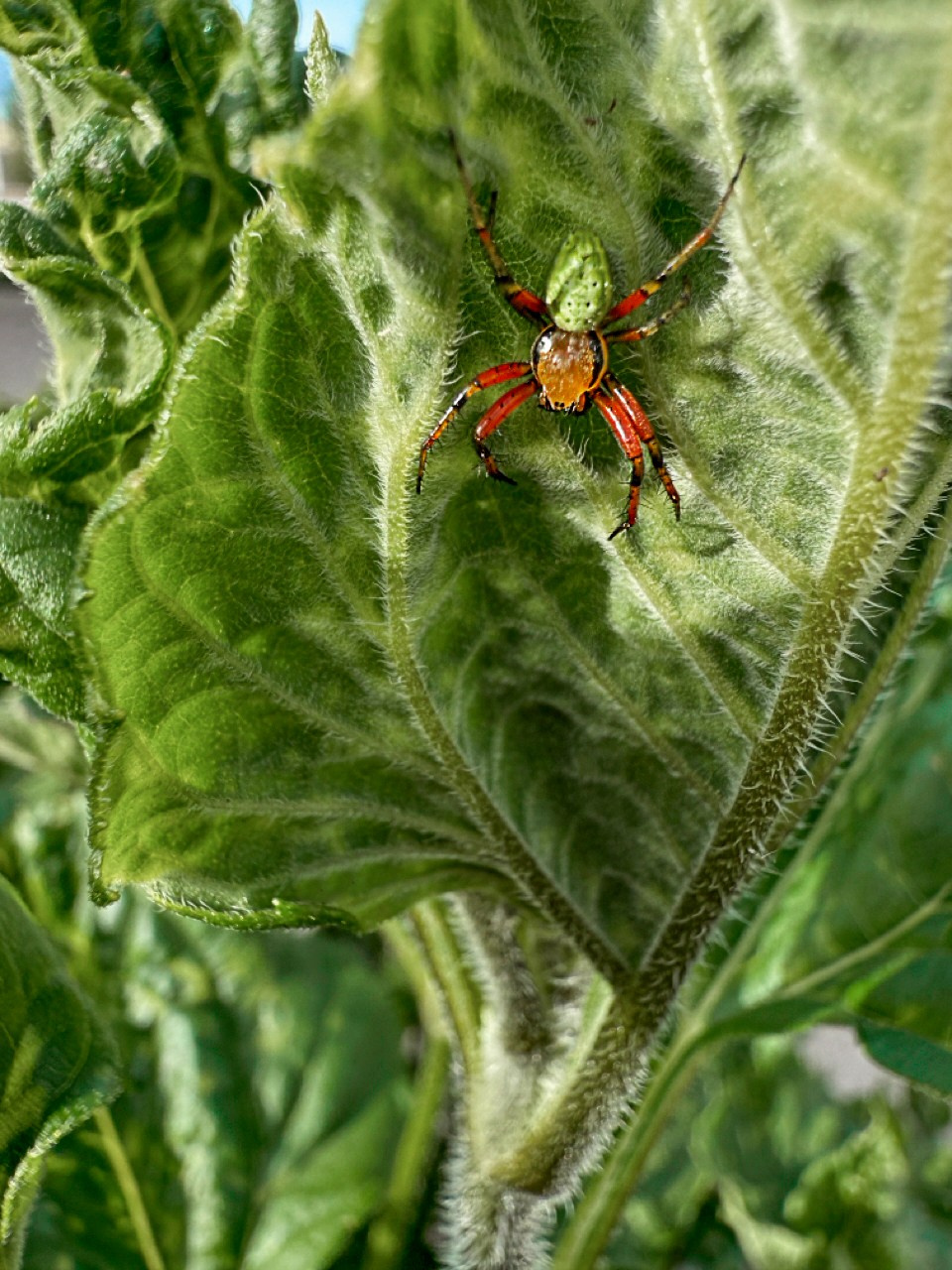 Ростов-на-Дону «МИР В ДЕТАЛЯХ». ARTEXPOPHOTO