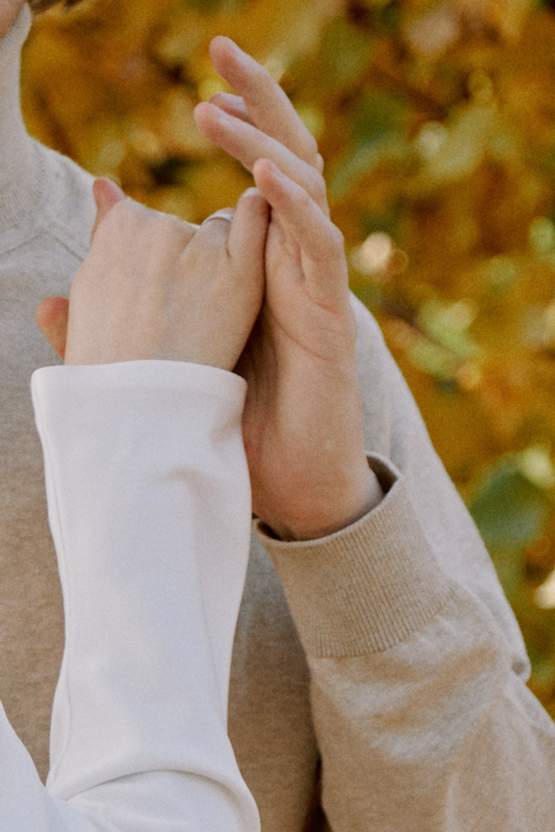 Ораниенбаум. Фотограф Елена Краснопевцева