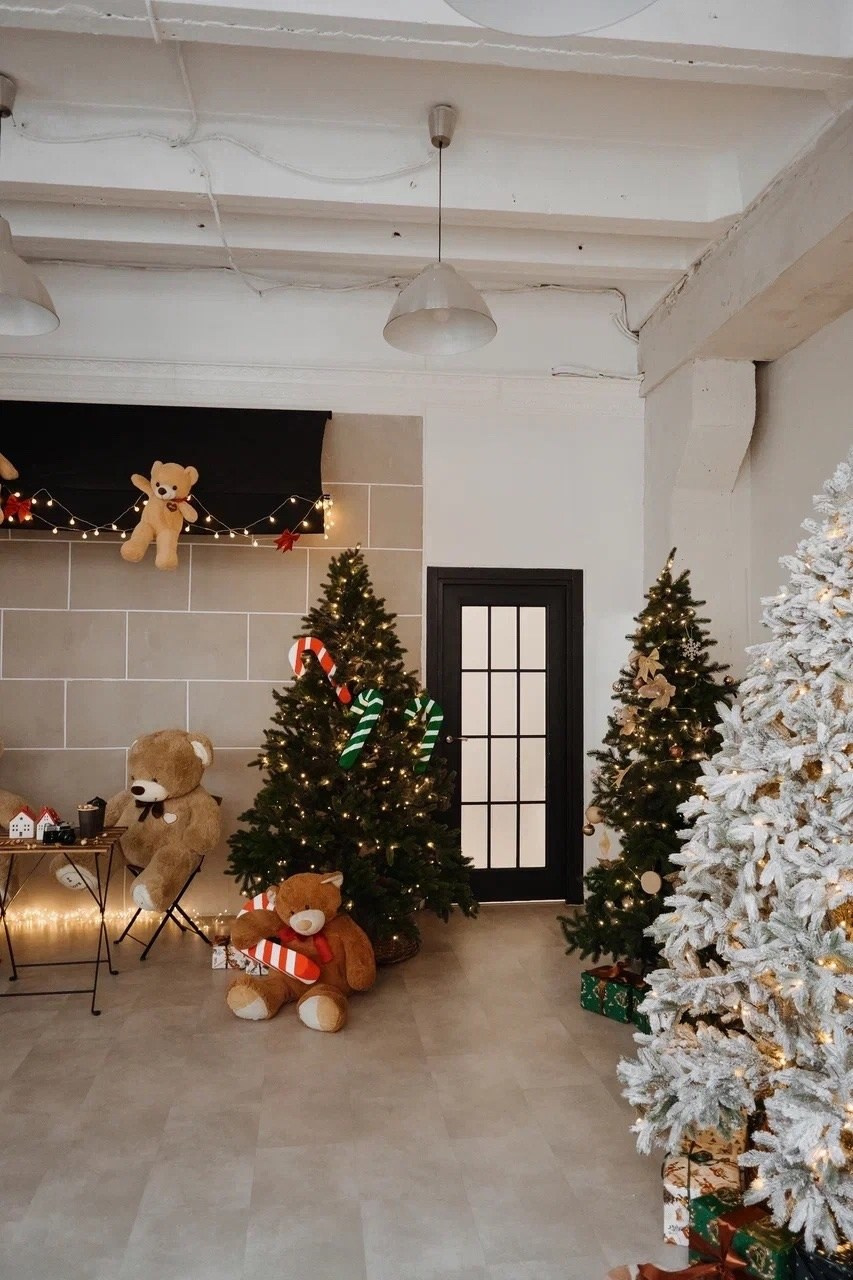 Зал Малый, фотостудия «Family», Красноярск. Классный фотограф Красноярска Васильева Ирина