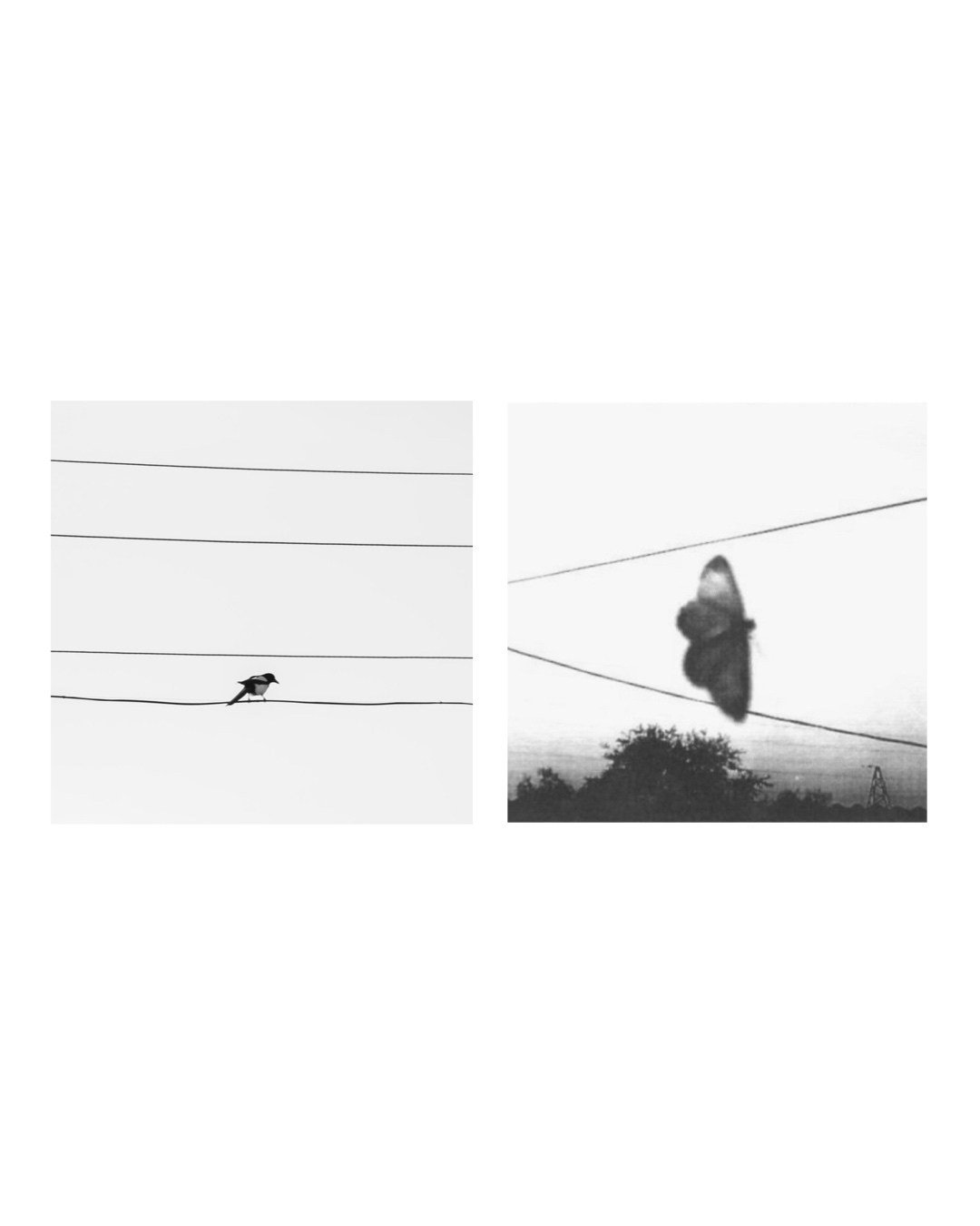 Паттерны. Фотограф Наталья Кургина Слюдянка Иркутск