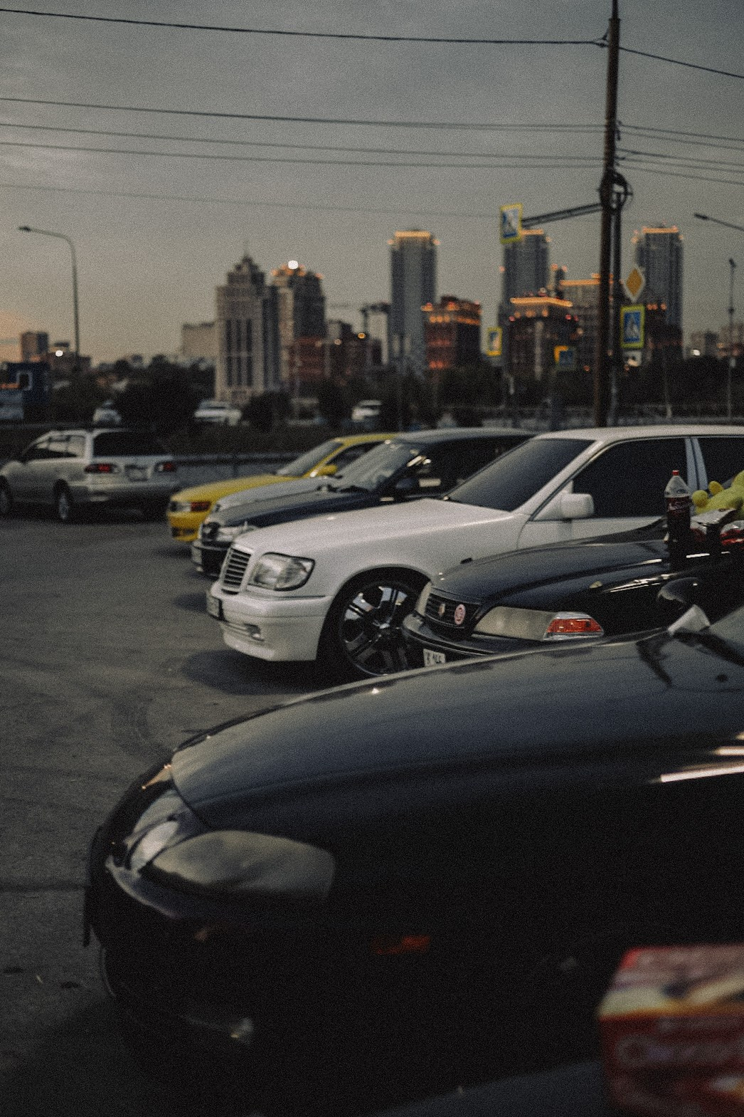 Сходки. Семейный фотограф Полина Легачева