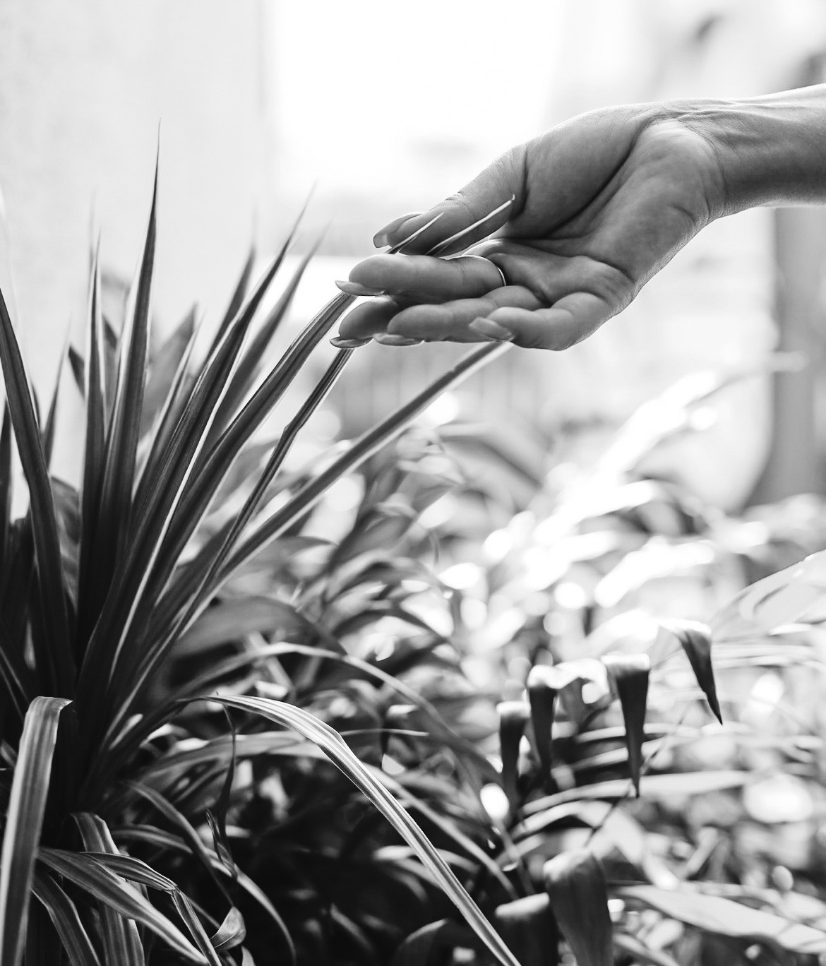 Портреты/Индивидуальные съемки. Мишугина Ольга Фотограф новорожденных, семейный и детский фотограф