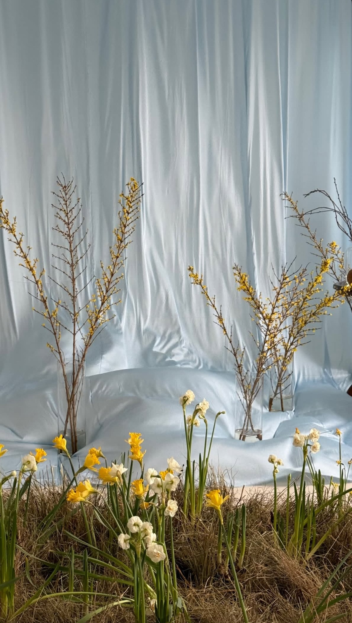 Фотостудия МОХ зал Свет. Фотограф Настя Лев