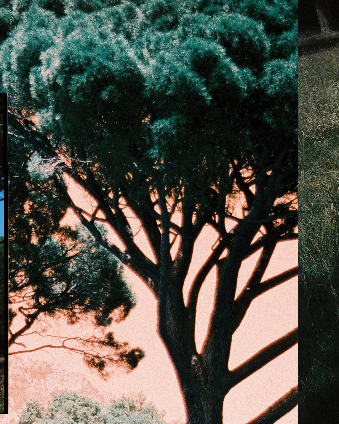 <K>. Плёночный фотограф Москва, Саша Звук