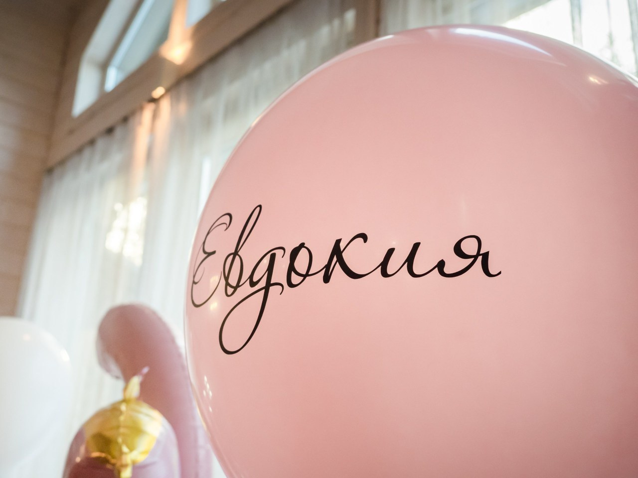 Отзывы. Репортажный и портретный фотограф в Санкт-Петербурге Василина Жук