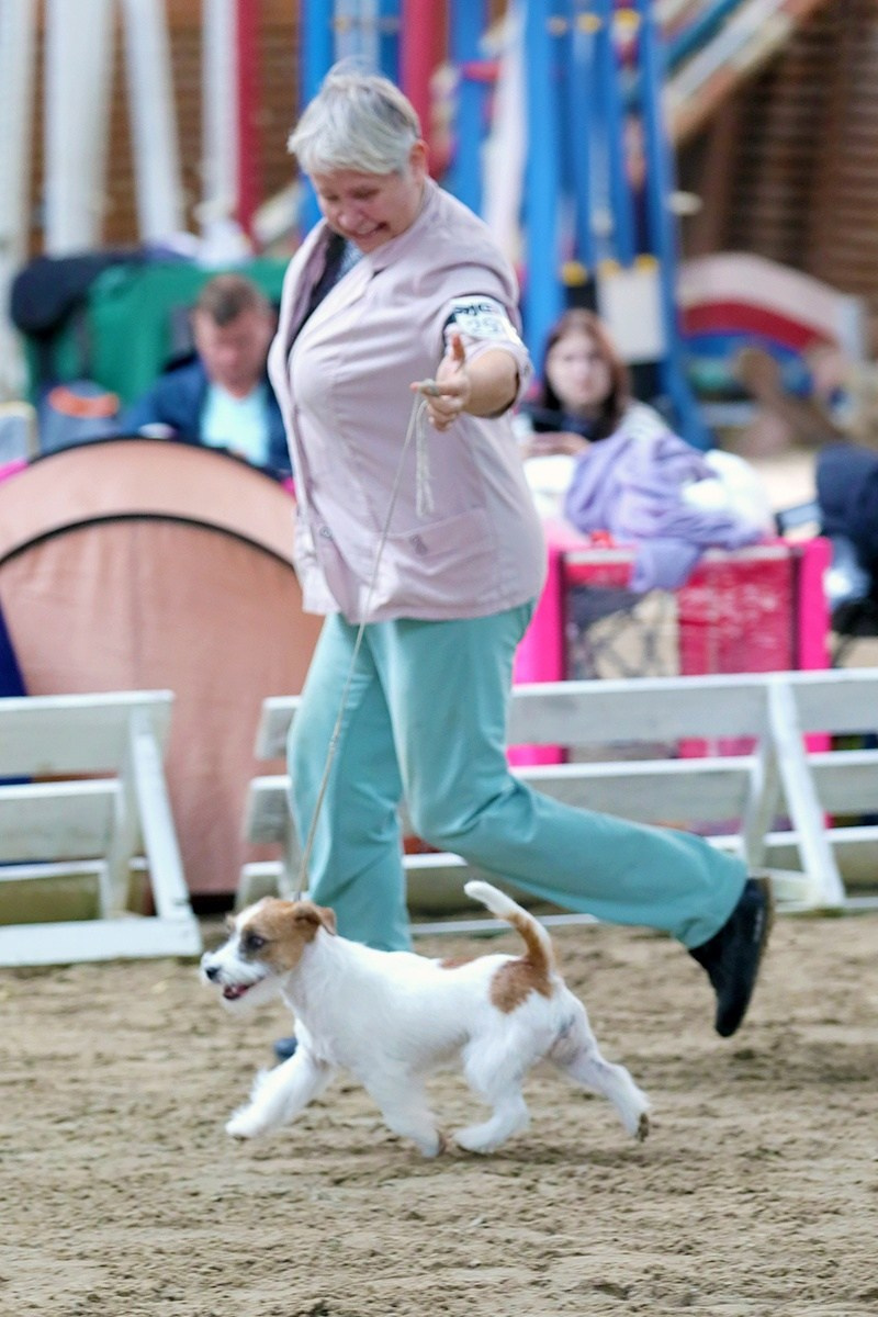 Port Fortis Nord Star