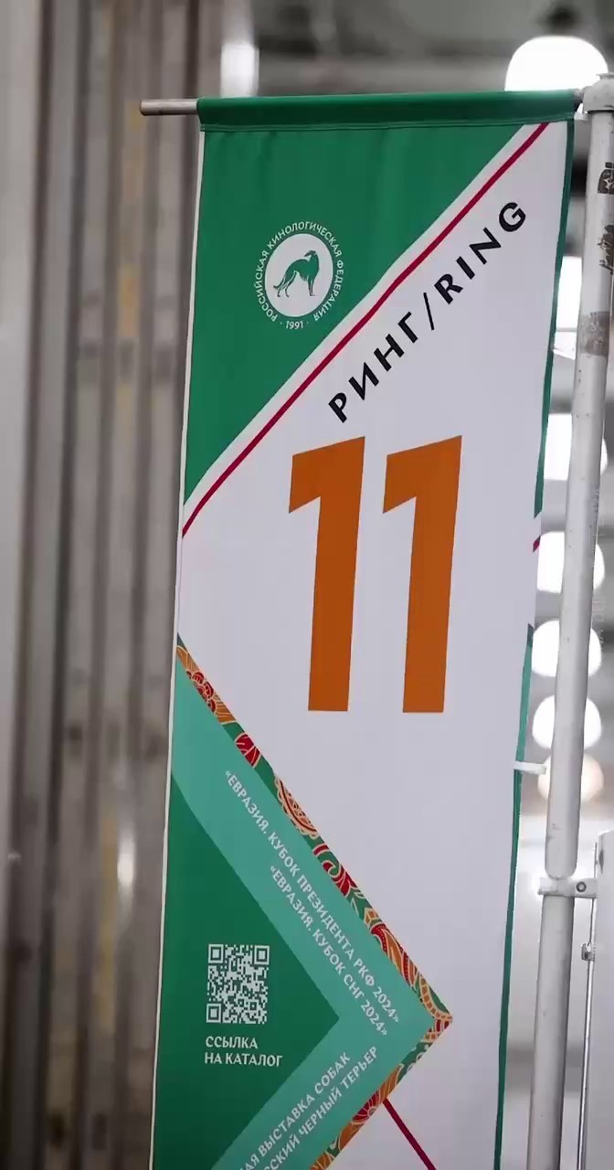 Участие в выставках. Американские булли XL в г. Калининград. Питомник Great Bully UNIVERSE