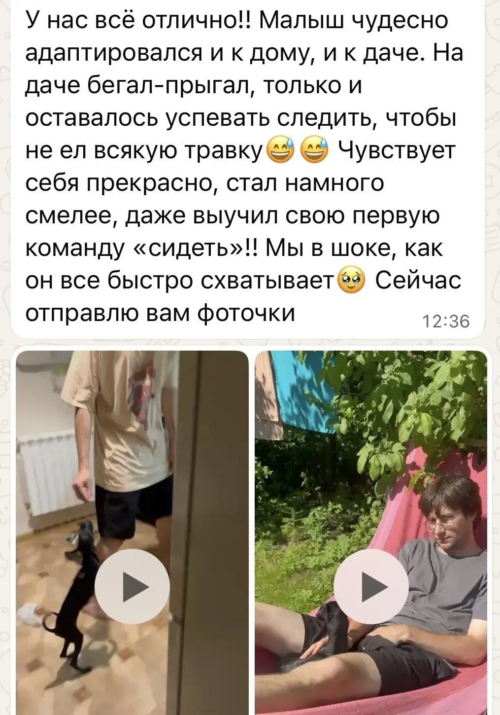 Левретки и мужчины. Профессиональный питомник левреток РКФ/FCI ASTI SAPPHIRE 💎 Сочи|Санкт-Петербург