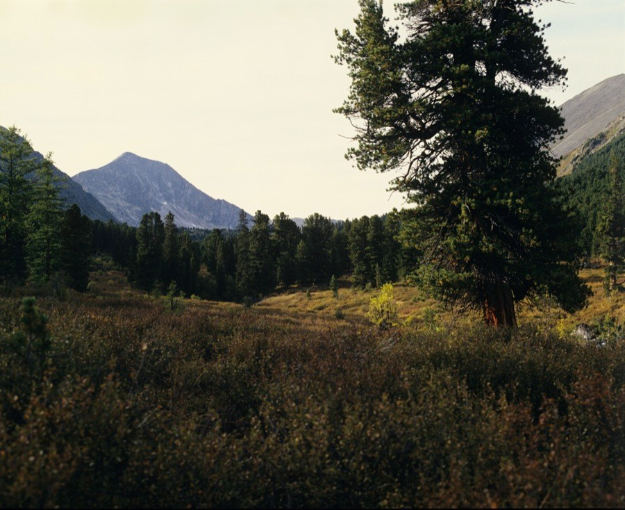 Саяны. ВАДИМ ГИППЕНРЕЙТЕР — ВЕЛИКИЙ ФОТОГРАФ ЗЕМЛИ РУССКОЙ