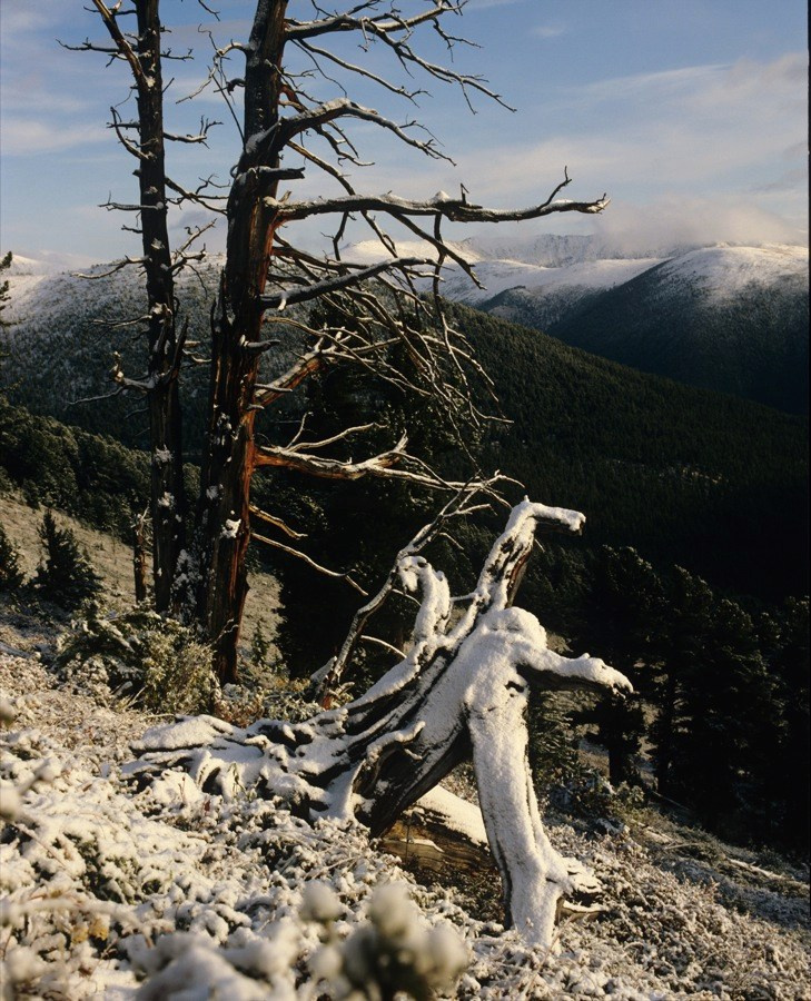 Саяны. ВАДИМ ГИППЕНРЕЙТЕР — ВЕЛИКИЙ ФОТОГРАФ ЗЕМЛИ РУССКОЙ