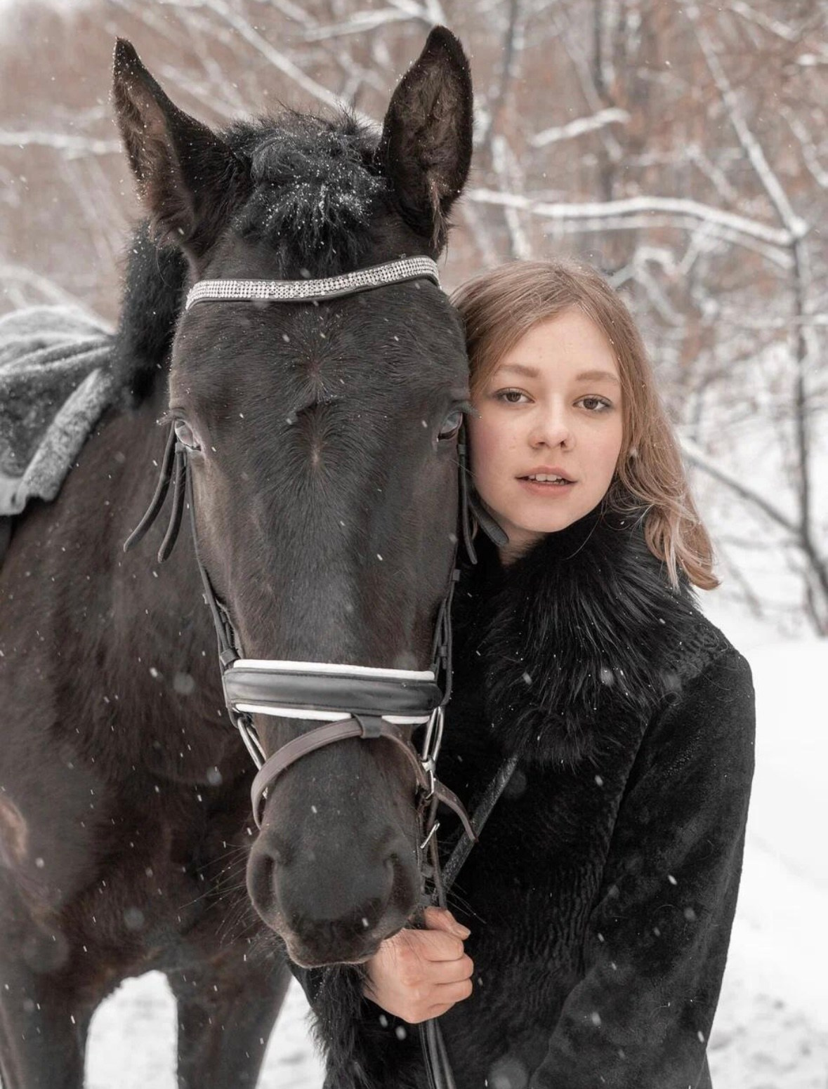 Лошадки зима. Фотограф Зинаида Евдокимова