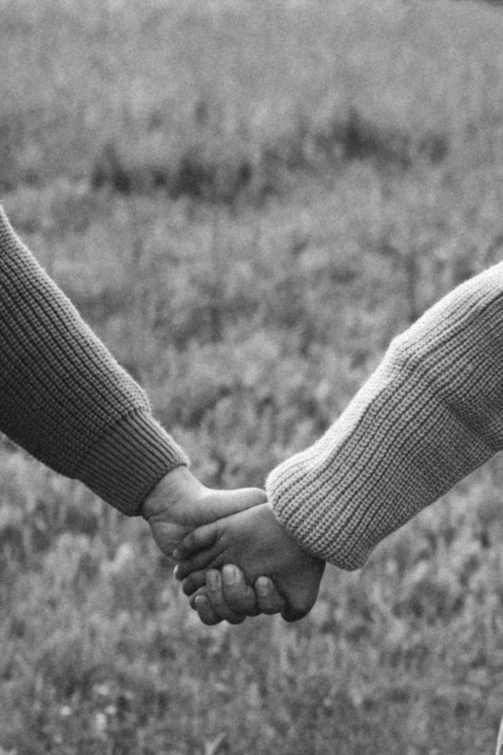 Анна, Марчелло, Настенька и Влада в поле. Фотограф Москва Светлана Кирюшина