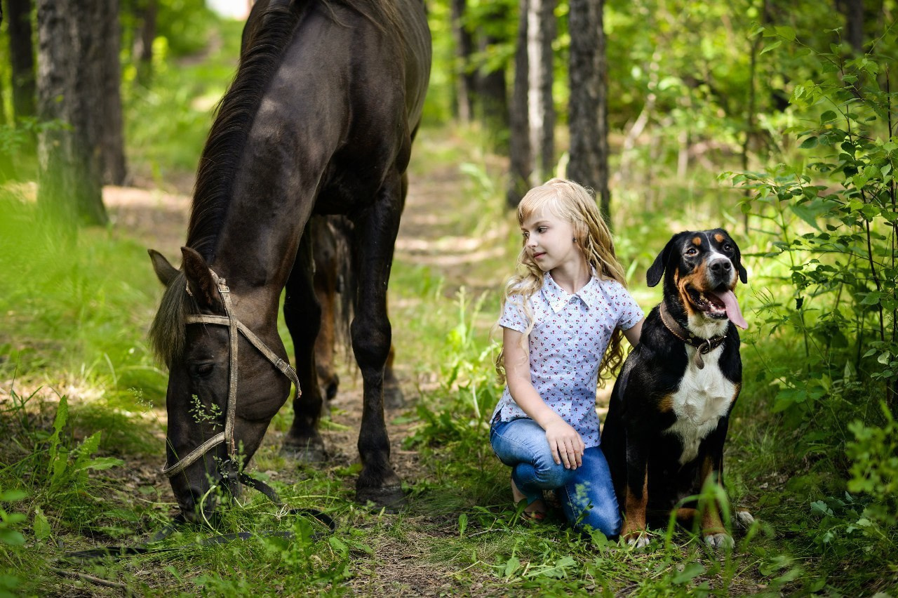 Фотосессии в Анкоре. Конные прогулки в клубе «Анкор» — Омск
