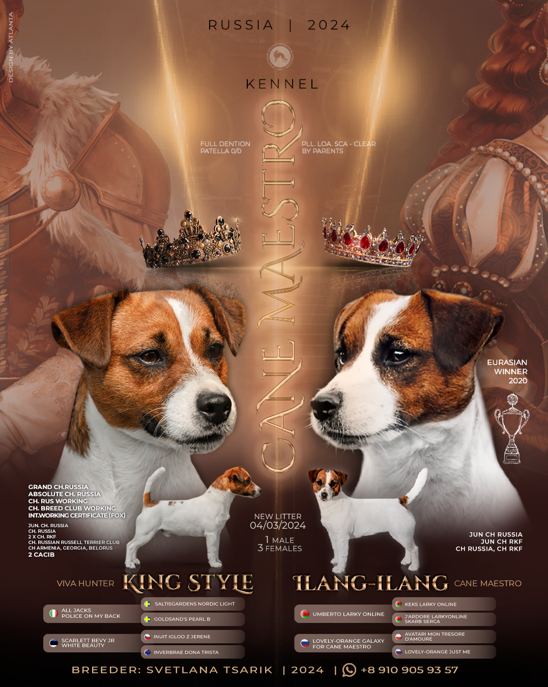 Джек рассел отзывы владельцев и покупателей щенков. CANE MAESTRO — kennel Jack Russell Terrier