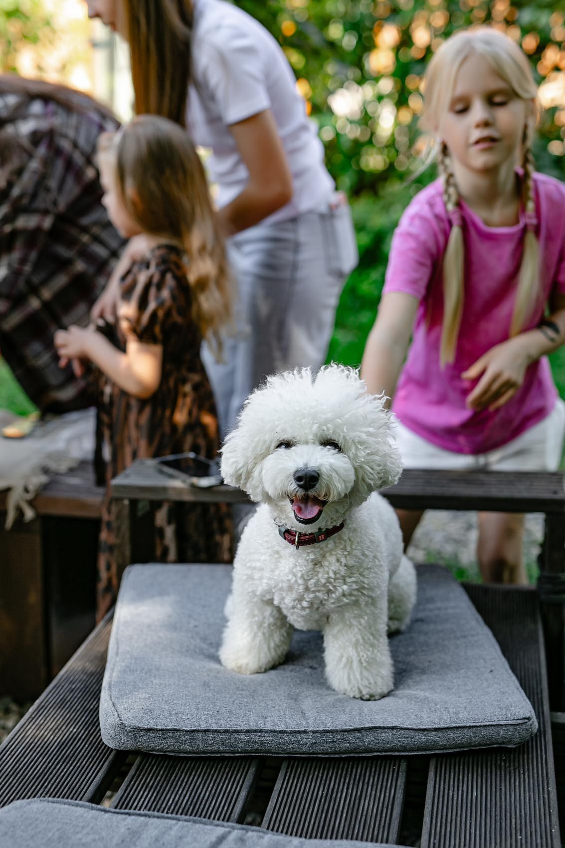 Детский день рождения г Владивосток. Владивосток семейный фотограф Александр Степанов