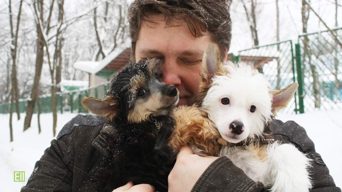 Litter B. Chinese Crested Dog Kennel Poale Ell
