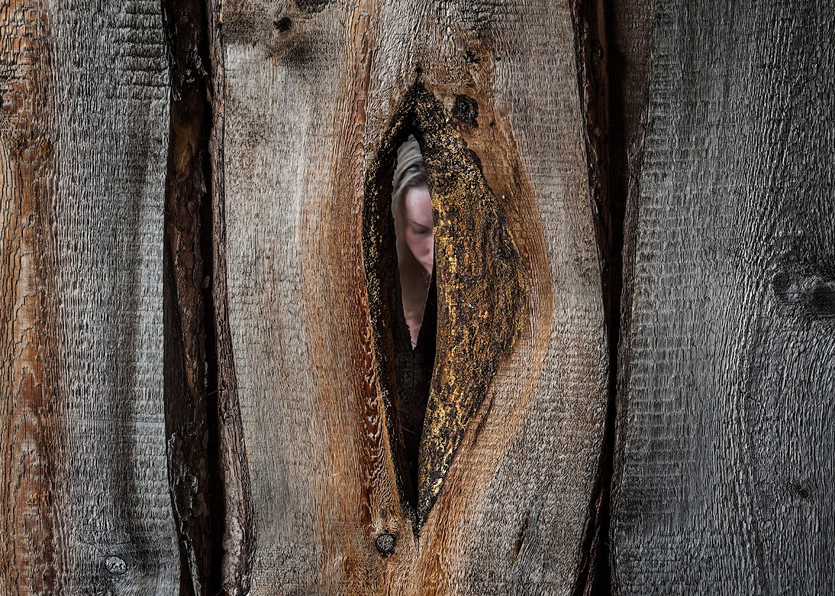 Атлас первого снега серия фотографий. Елена Аносова — художница и исследовательница, куратор и лектор