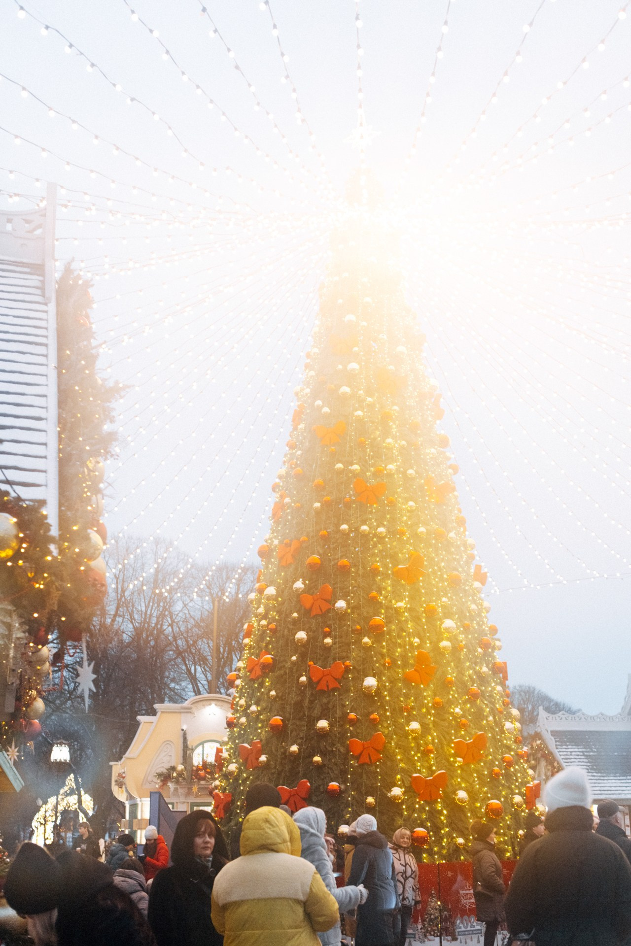 Московские сезоны. Фотограф Владимир Молоканов