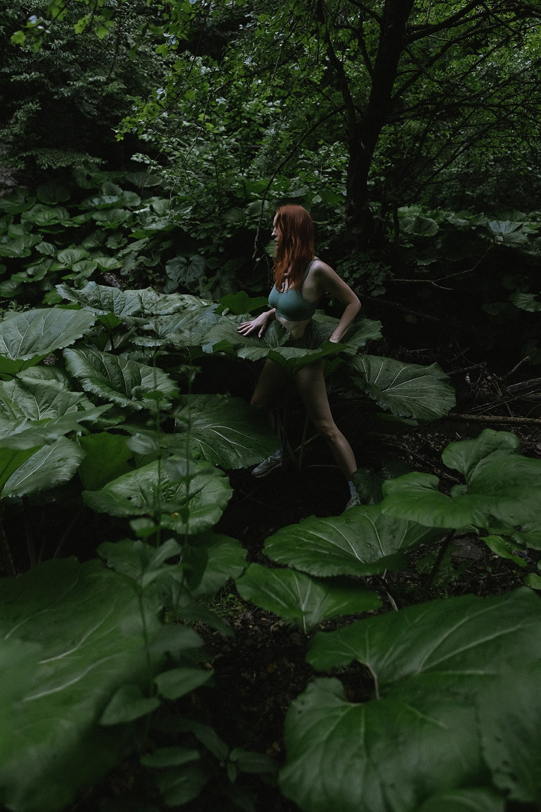 Оля портреты. Семен Соколов