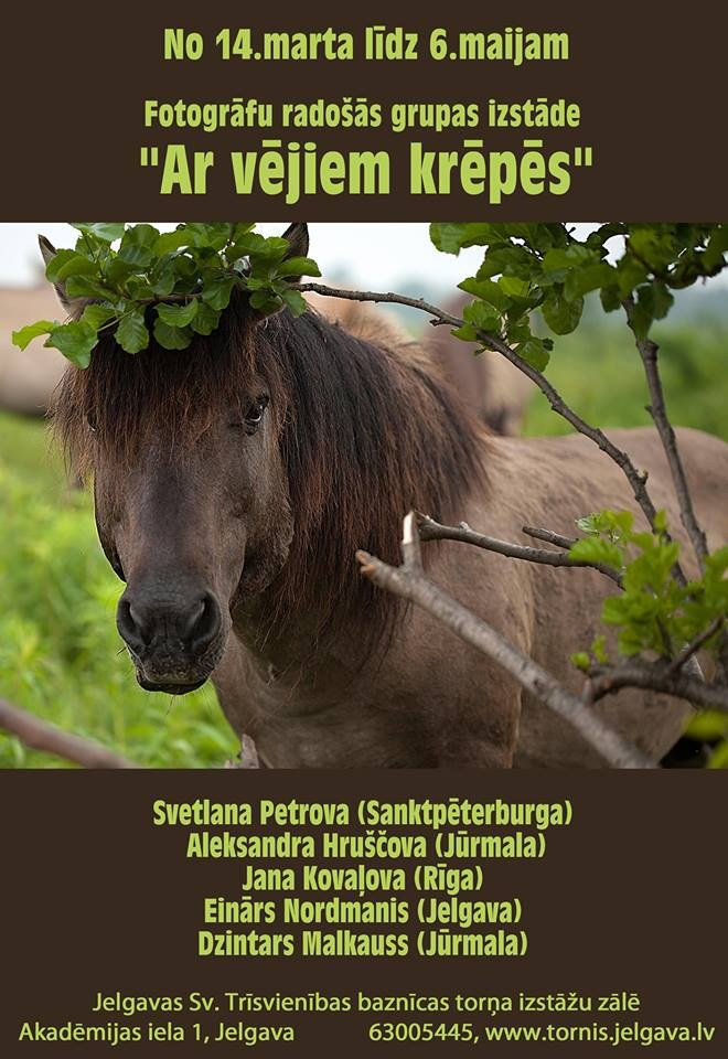 Публикации. Лана Петрова, фотограф