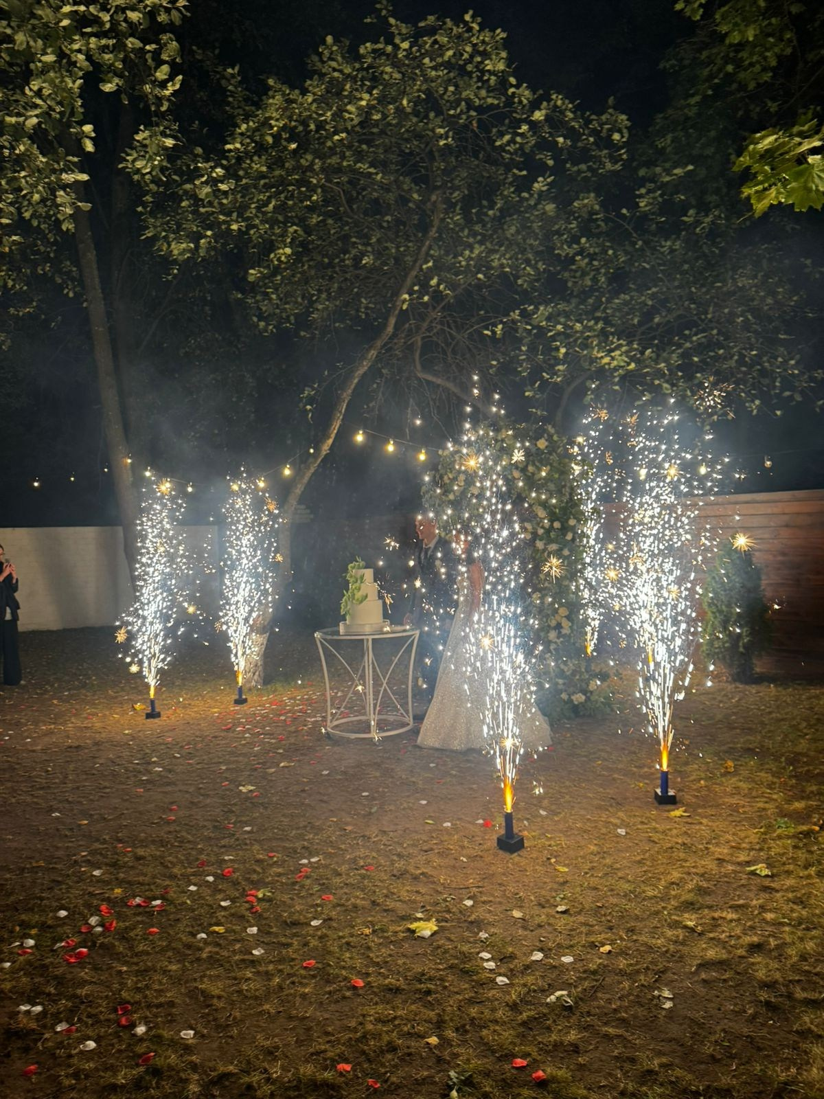 Площадка № 3-11. Свадебный организатор Москва