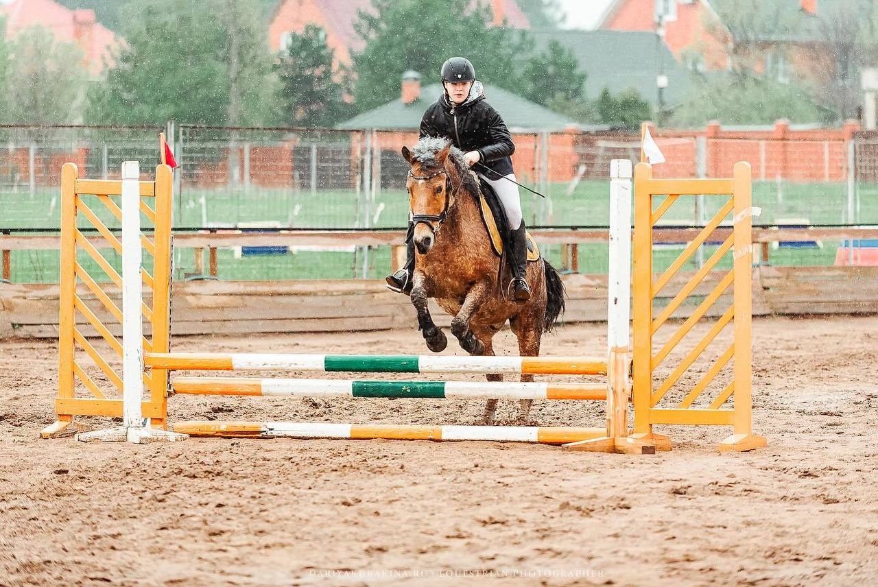 Весенний Кубок по конкуру КСК «Созвездие». Конный фотограф Куракина Дарья • Фотосессии с лошадьми