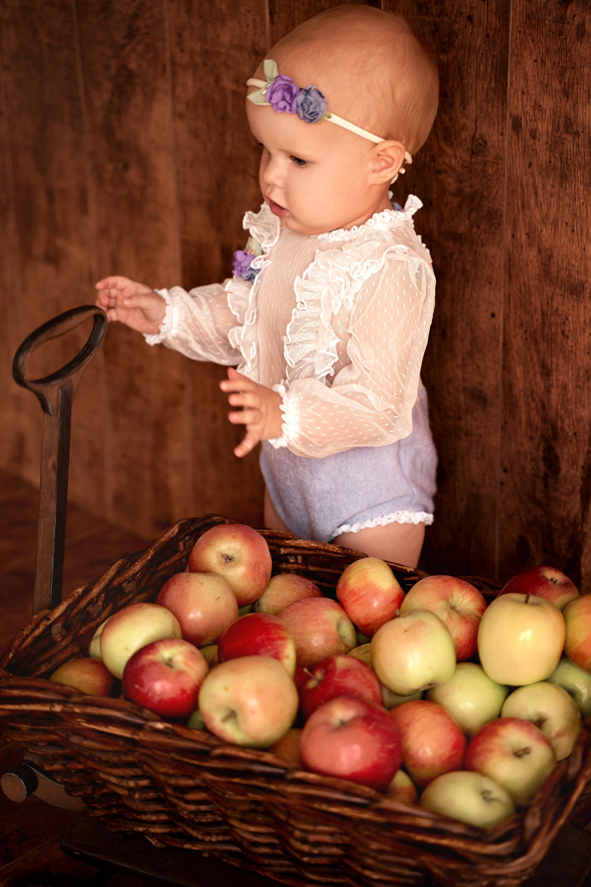 Ариша. Свадебный и семейный фотограф Игорь Елагин