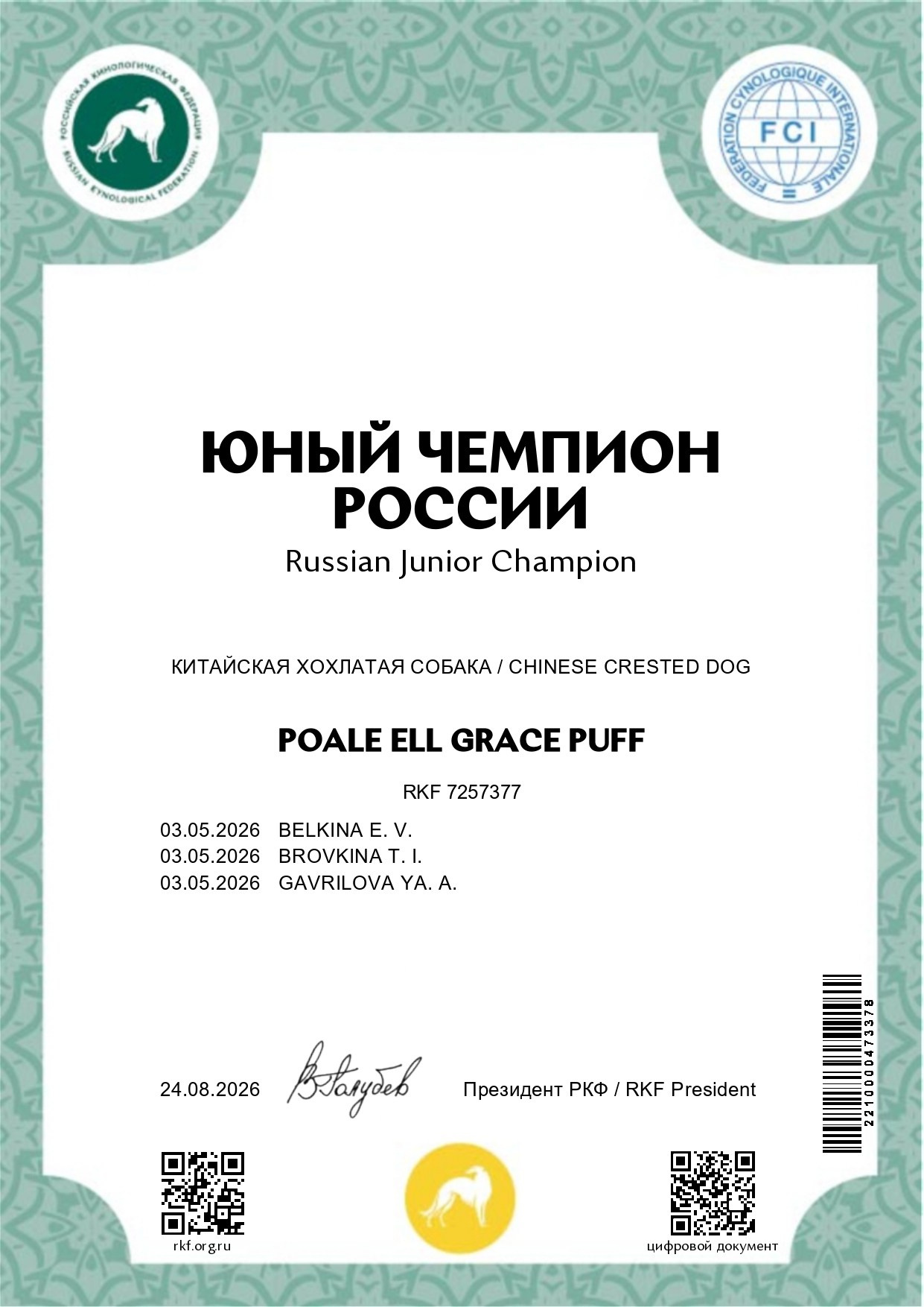 Poale Ell Grace. Питомник китайских хохлатых собак Poale Ell: купить щенка в питомнике