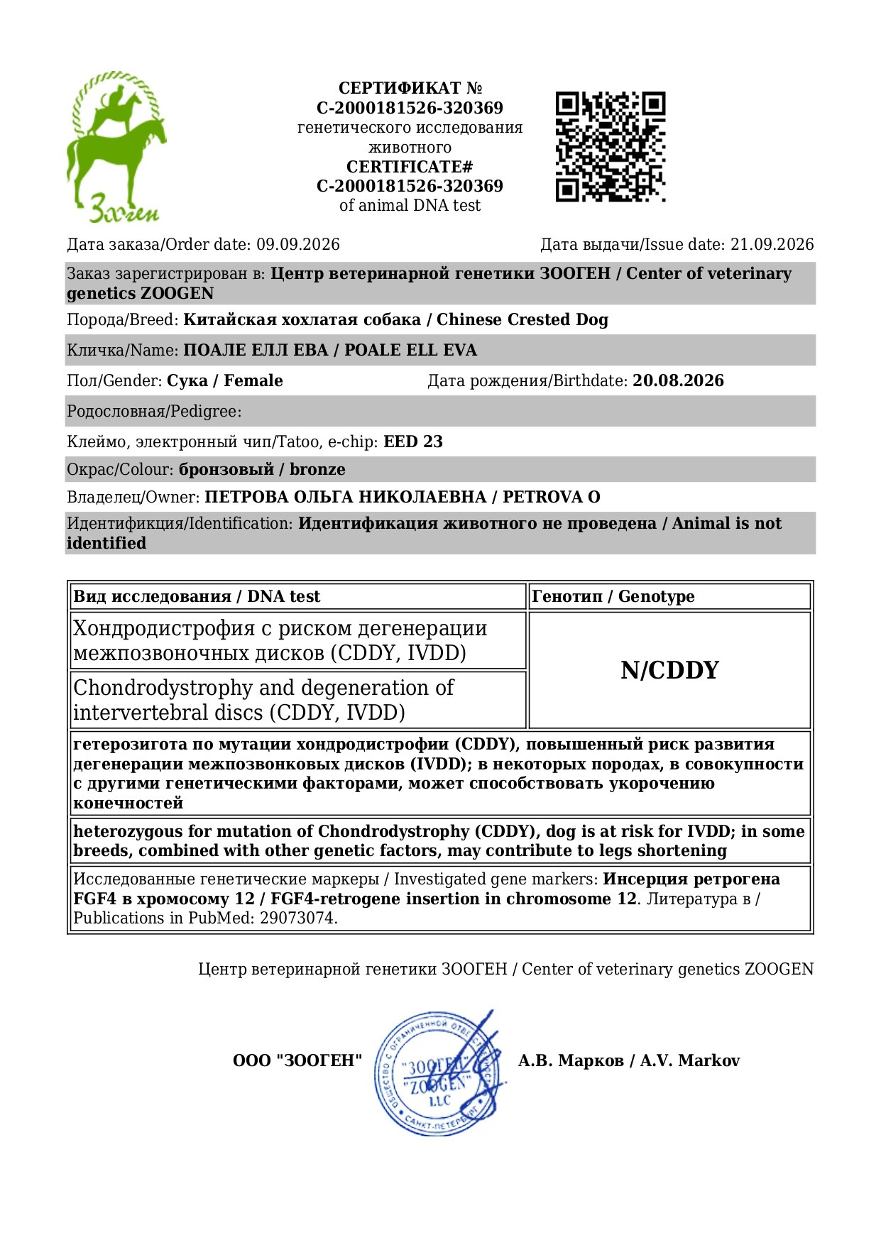 Poale Ell Eva. Питомник китайских хохлатых собак Poale Ell: купить щенка в питомнике