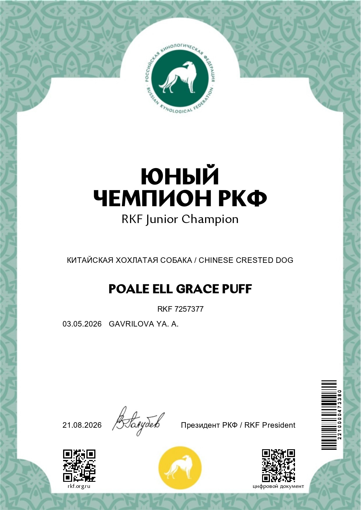 Poale Ell Grace. Питомник китайских хохлатых собак Poale Ell: купить щенка в питомнике