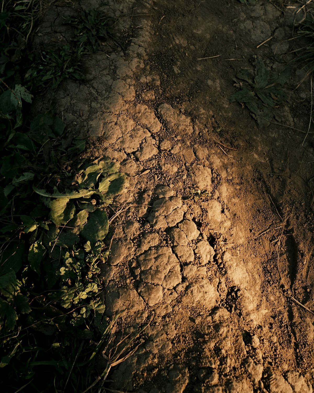 ДИЛ / Street Lookbook. DISEMICHASNOVA