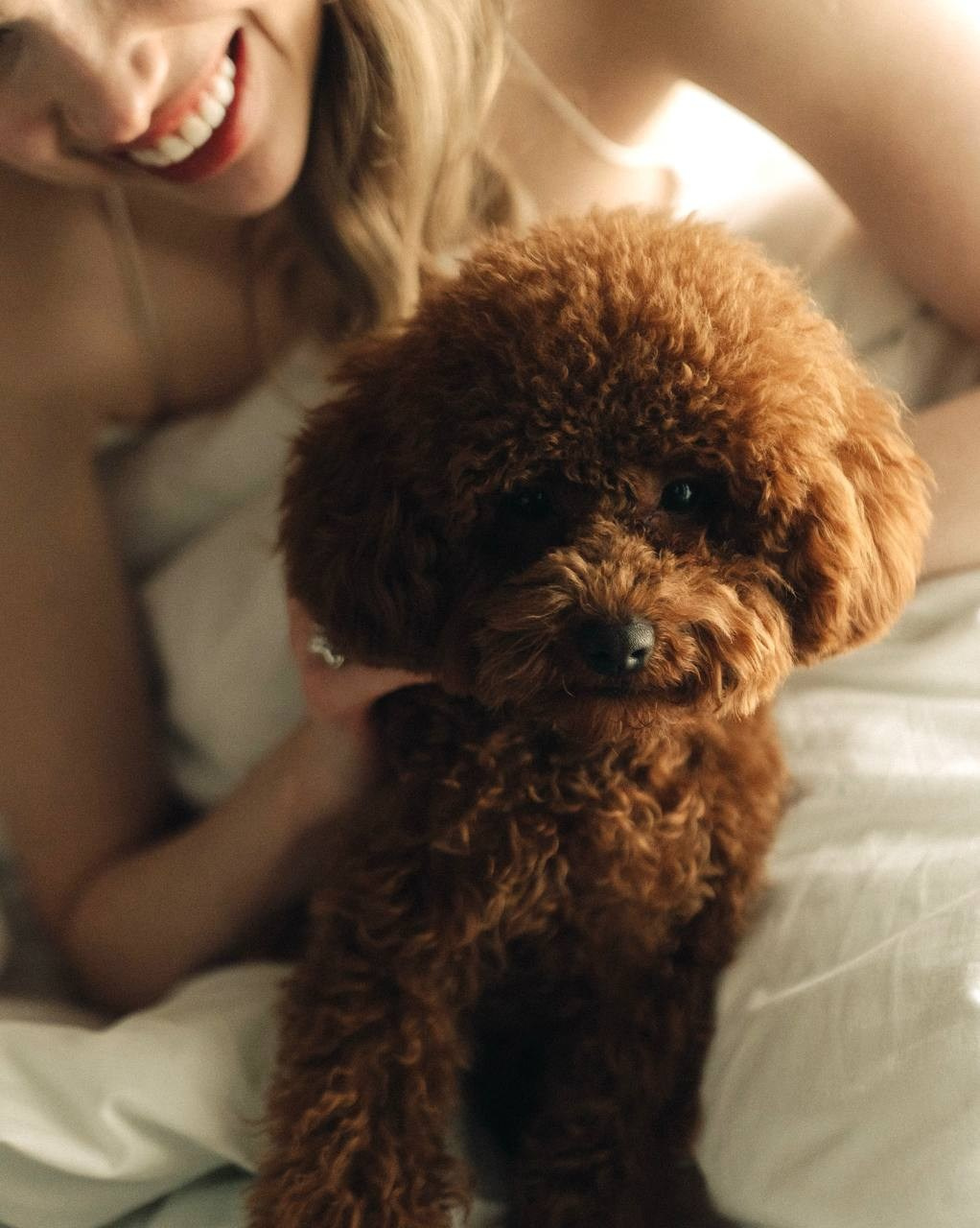 Свадьбы. Zaytseva.weddings