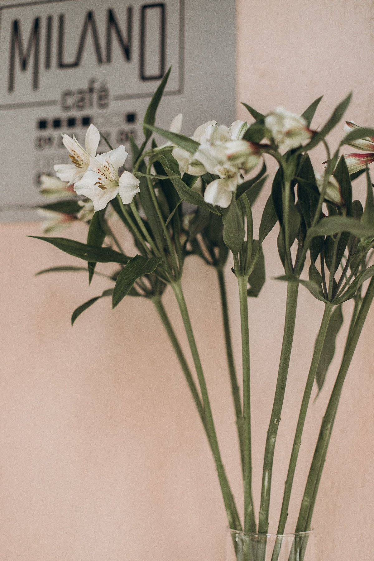 Анастасия. Алёна Берёзка фотограф Минск