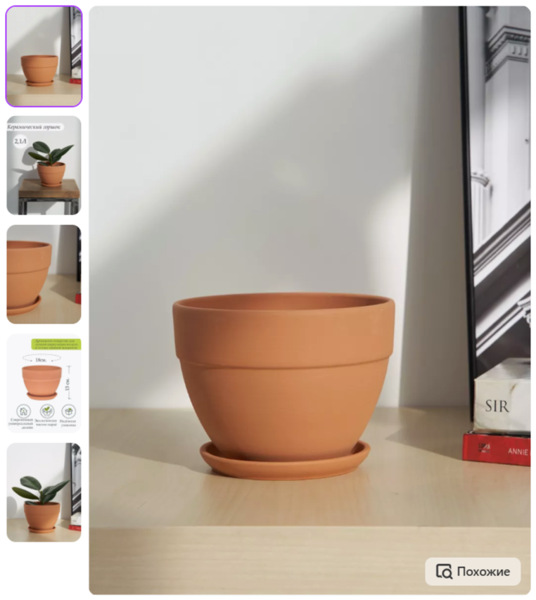 Предметная съемка товаров для растений для маркетплейсов