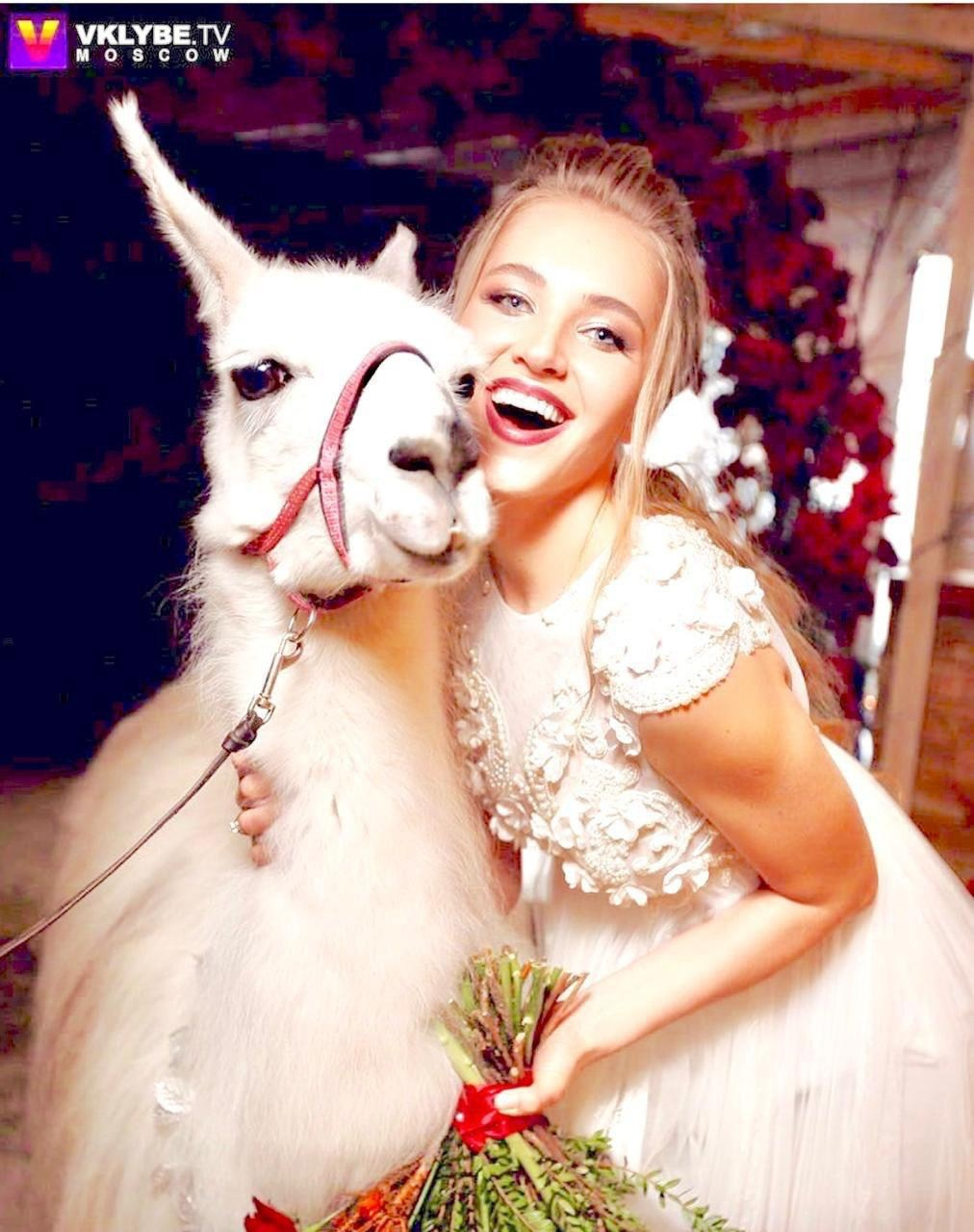 Шоу с Ламой. Подрядчики и друзья сети свадебных площадок House for wedding