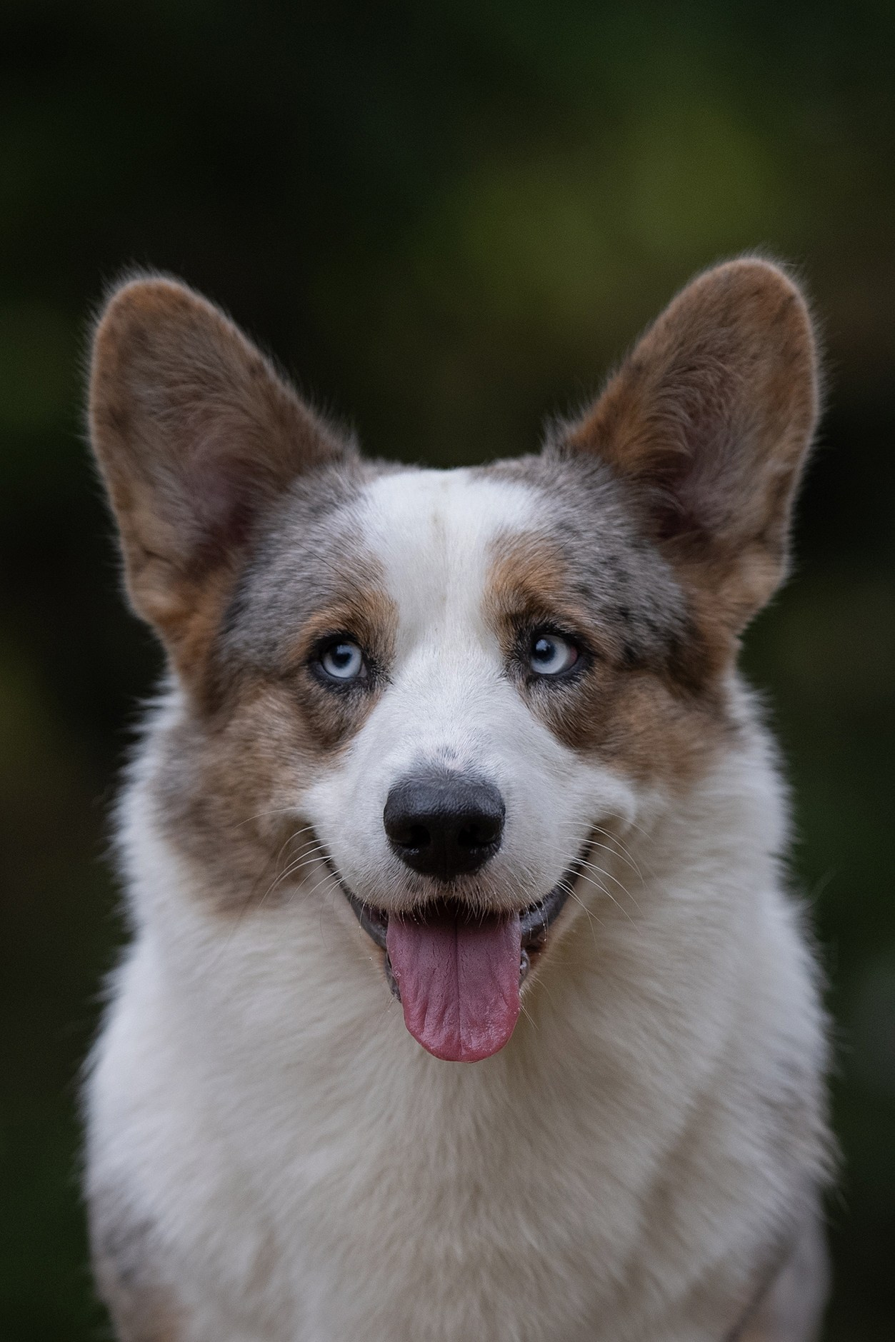 Тыквенная вечерника 6 октября 2024. -