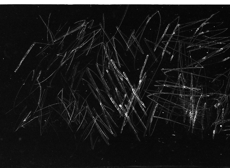 ⬊. Фотограф Денис Персенен | Санкт-Петербург, Москва