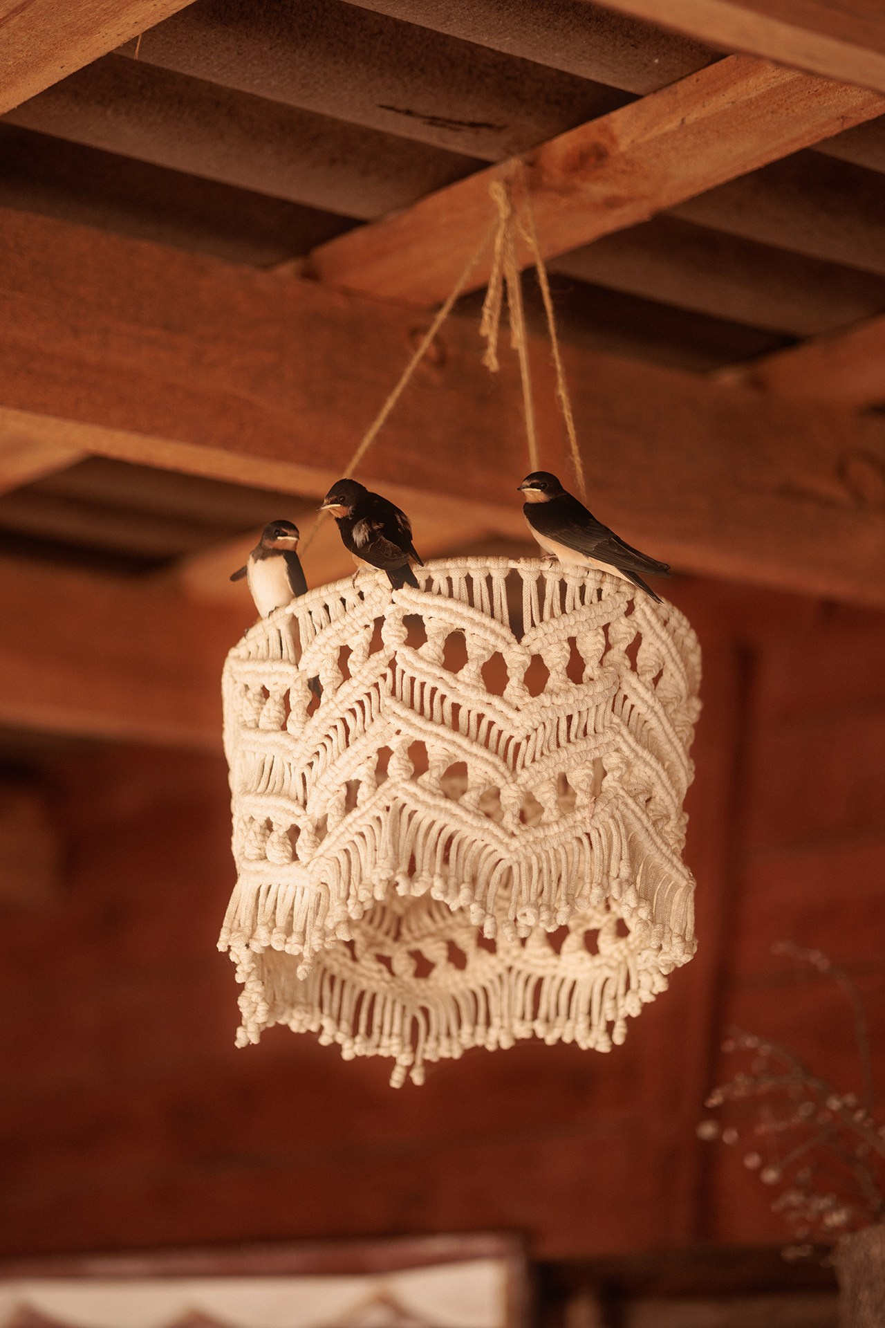 Дети. Фотограф Александр Калинин