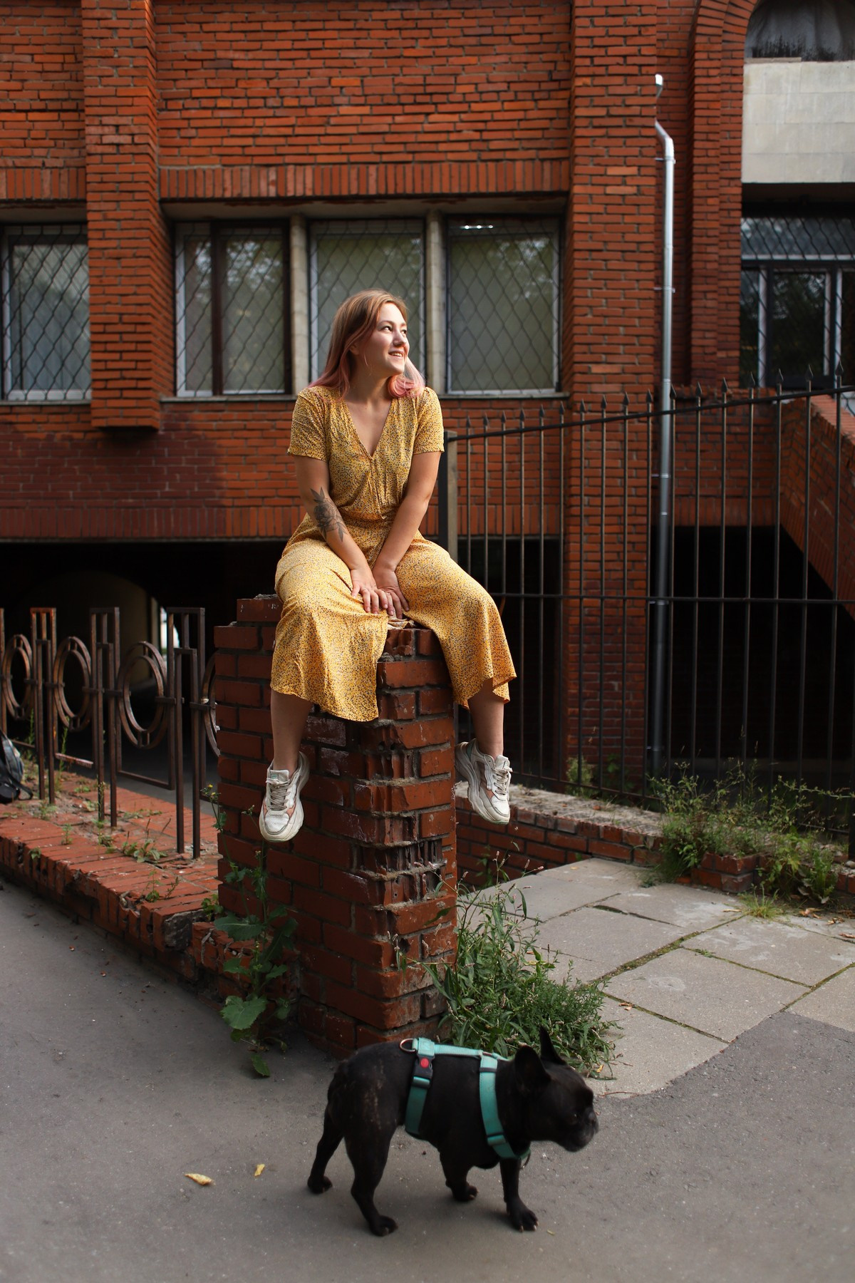 Девушка с собакой. Семейный фотограф Елизавета Увицкая