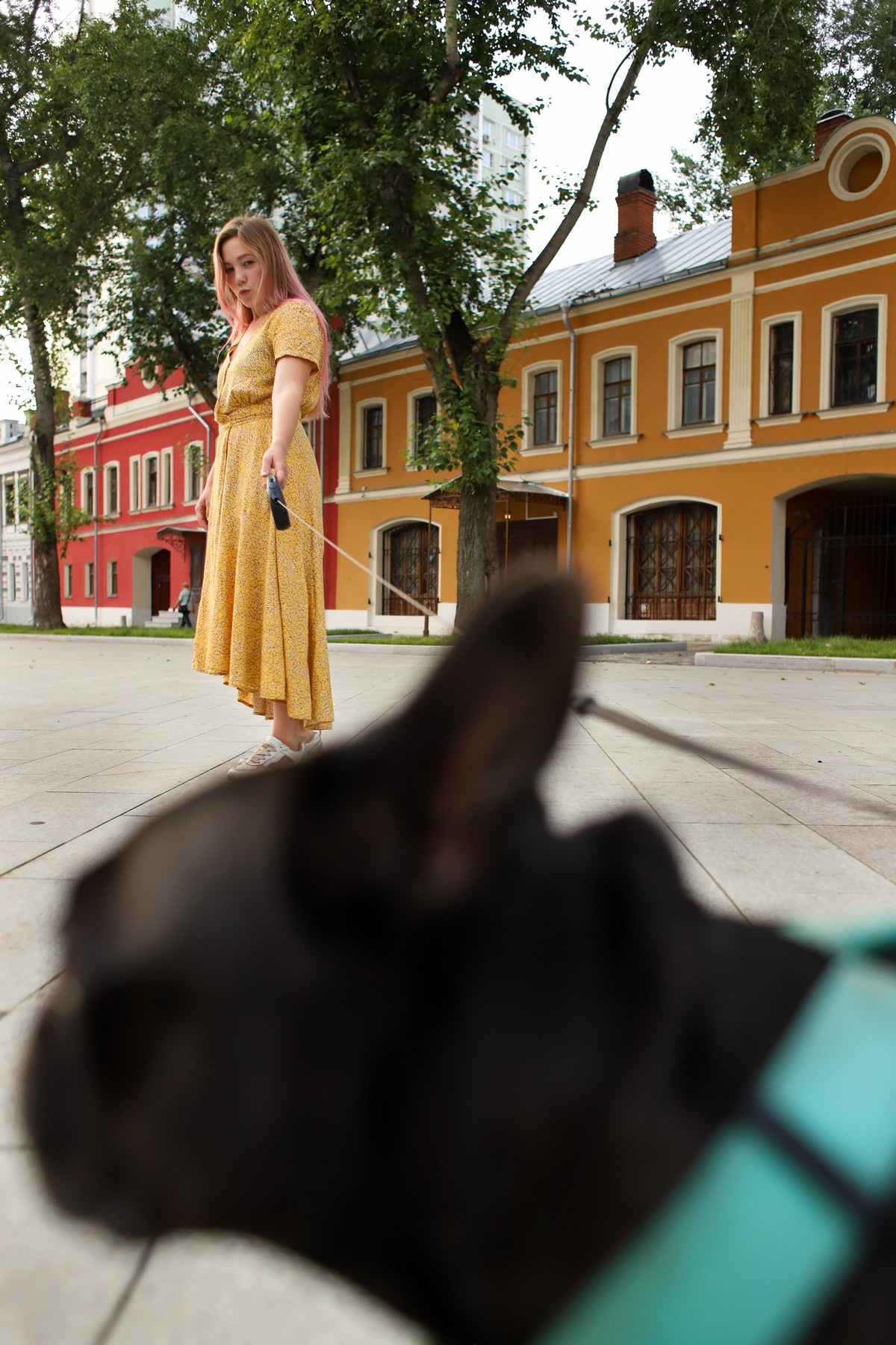 Девушка с собакой. Семейный фотограф Елизавета Увицкая