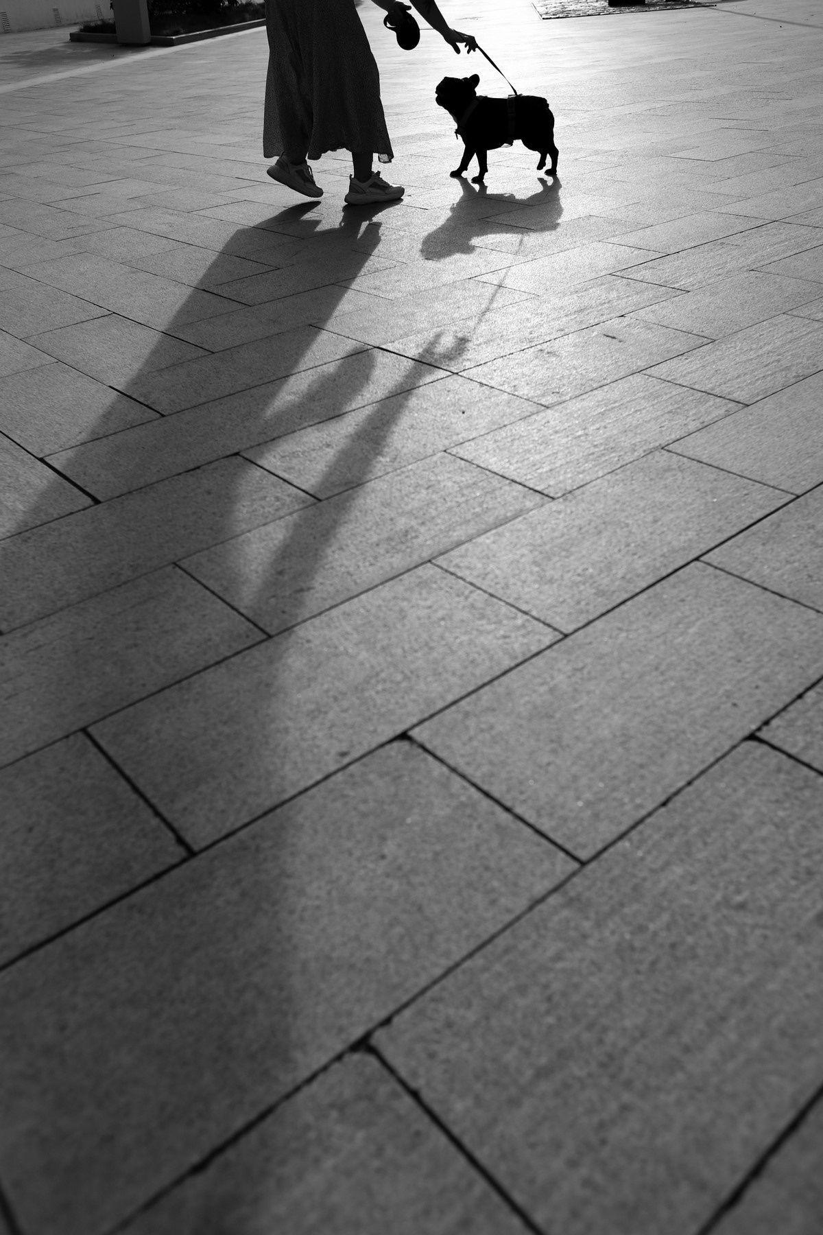 Девушка с собакой. Семейный фотограф Елизавета Увицкая