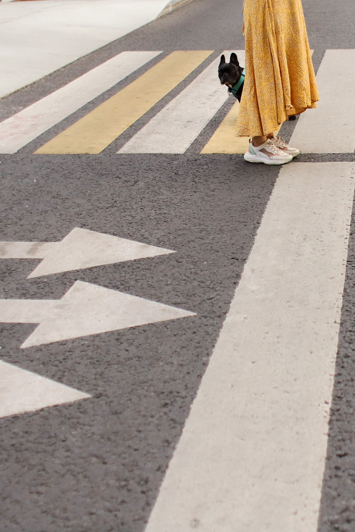 Девушка с собакой. Семейный фотограф Елизавета Увицкая