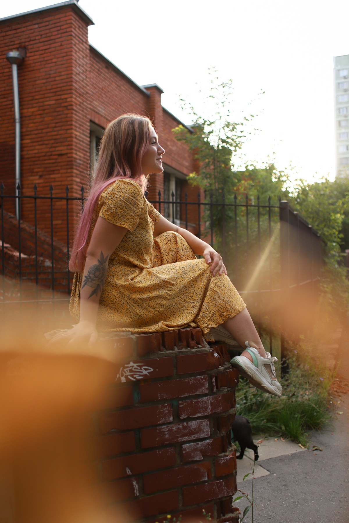 Девушка с собакой. Семейный фотограф Елизавета Увицкая